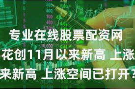 专业在线股票配资网 突破！棉花创11月以来新高 上涨空间已打开？
