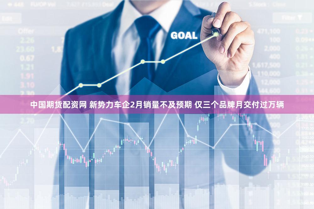 中国期货配资网 新势力车企2月销量不及预期 仅三个品牌月交付过万辆