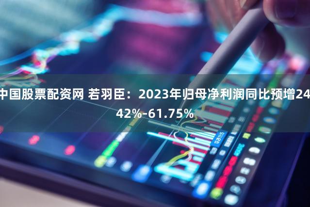 中国股票配资网 若羽臣：2023年归母净利润同比预增24.42%-61.75%