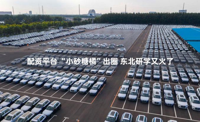 配资平台 “小砂糖橘”出圈 东北研学又火了