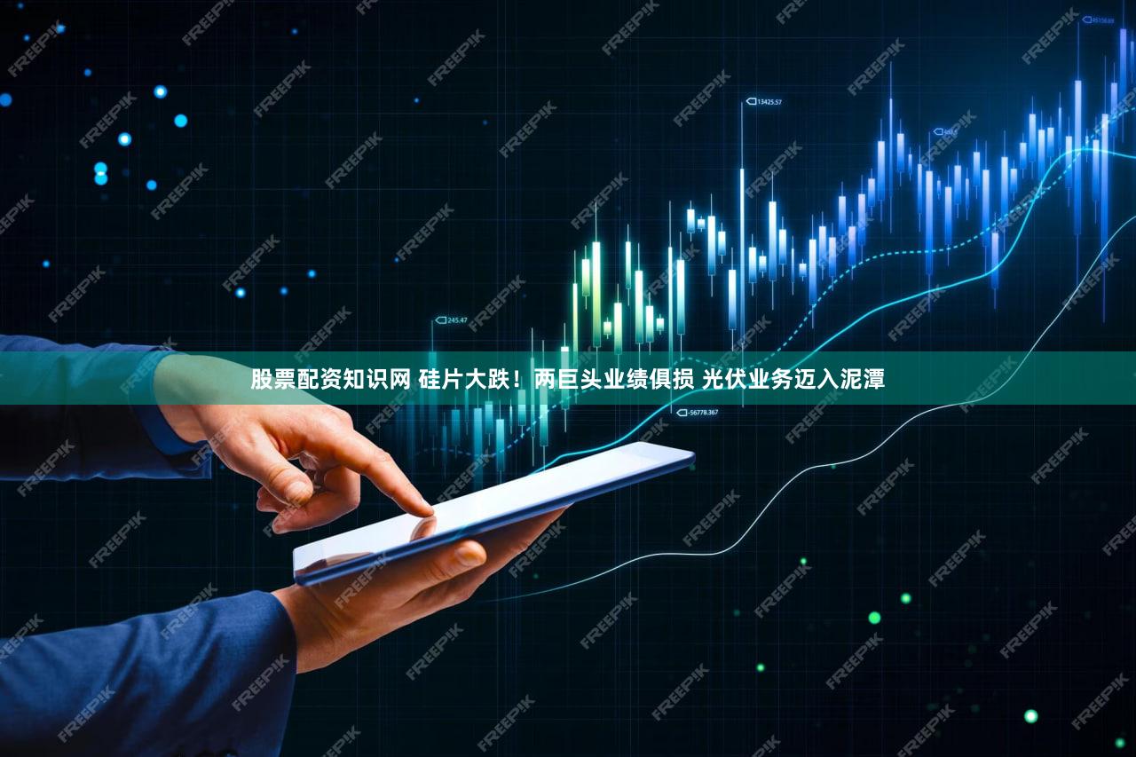 股票配资知识网 硅片大跌！两巨头业绩俱损 光伏业务迈入泥潭