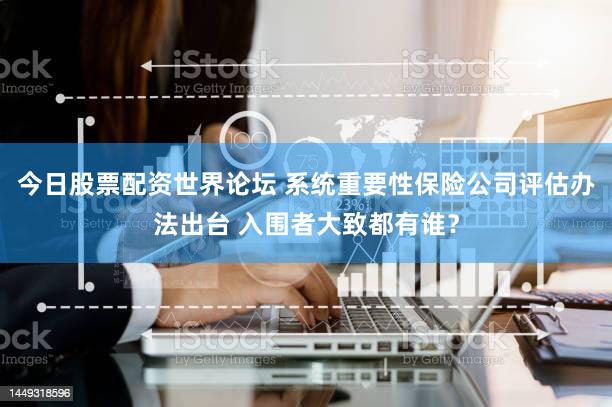 今日股票配资世界论坛 系统重要性保险公司评估办法出台 入围者大致都有谁?