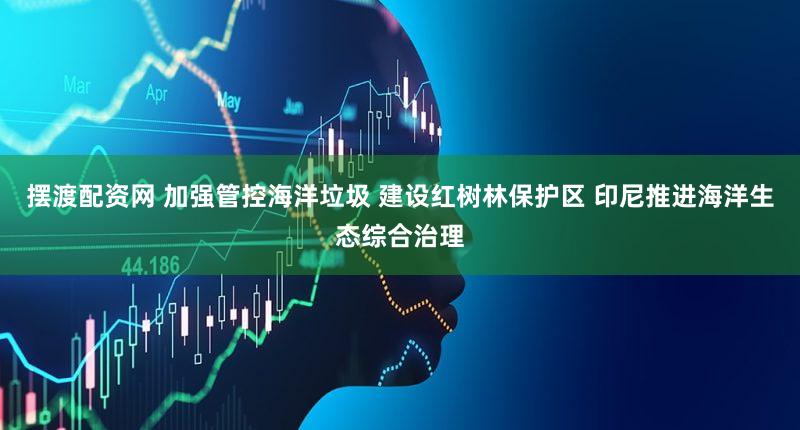 摆渡配资网 加强管控海洋垃圾 建设红树林保护区 印尼推进海洋生态综合治理
