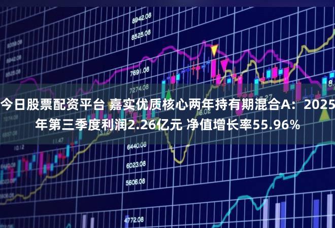 今日股票配资平台 嘉实优质核心两年持有期混合A：2025年第三季度利润2.26亿元 净值增长率55.96%