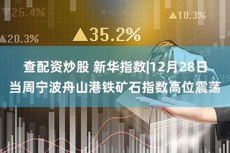 查配资炒股 新华指数|12月28日当周宁波舟山港铁矿石指数高位震荡