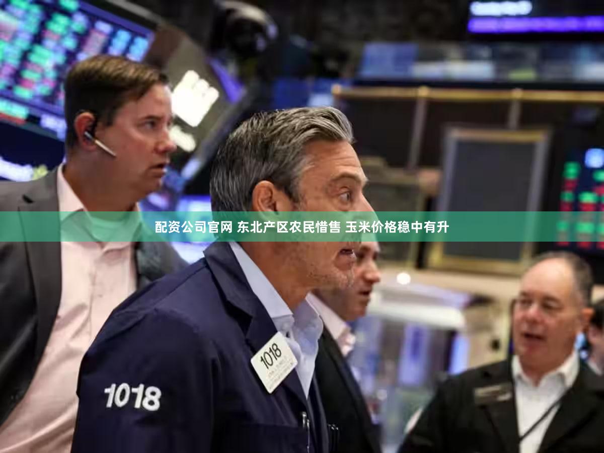 配资公司官网 东北产区农民惜售 玉米价格稳中有升